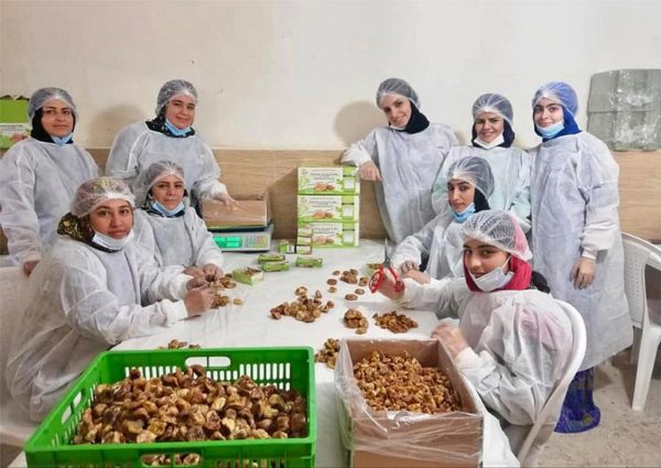 salariées femme figues iran